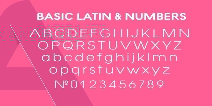 Modern Grace Collection Font Poster 4