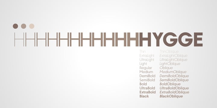 Modern Grace Collection Font Poster 13