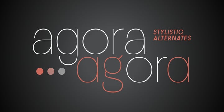 Modern Grace Collection Font Poster 15