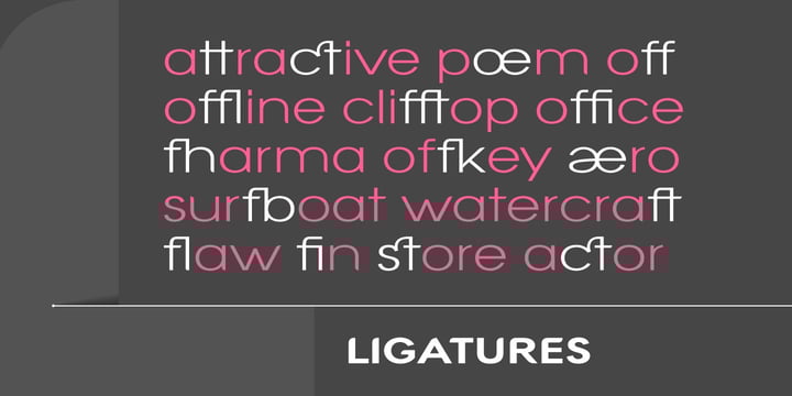 Contempo Type Bundle Font Poster 5