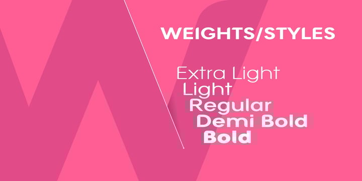 Contempo Type Bundle Font Poster 4