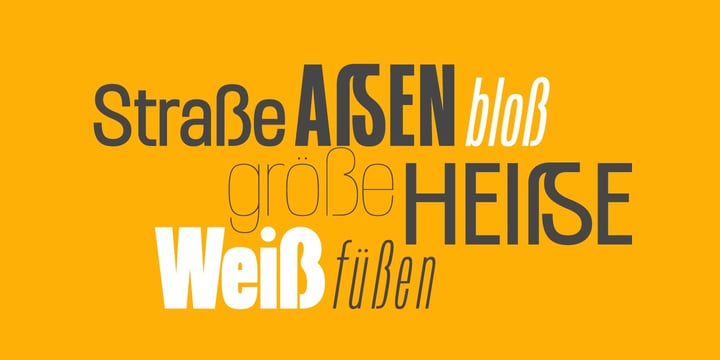 Modern Type Essentials Font Poster 9