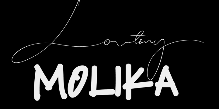 Best Seller Script Bundles Font Poster 3