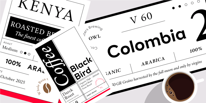 Contemporary classic Font Poster 6