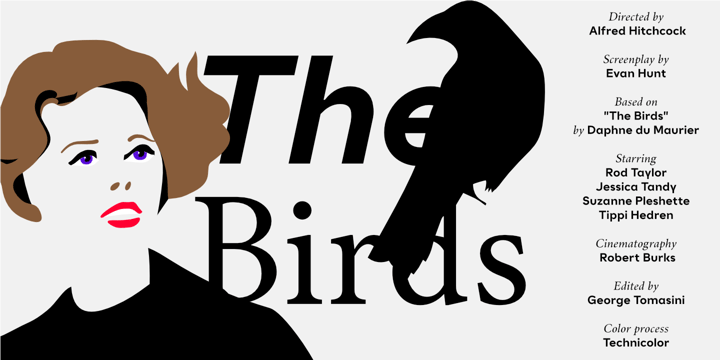 Contemporary classic Font Poster 3