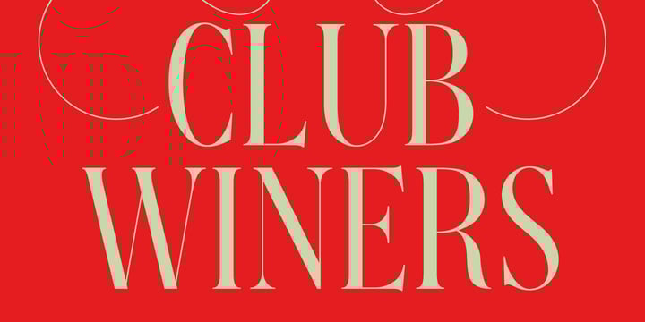 Christmas Fonts Bundle Font Poster 5