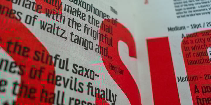 25B biannual newsletter fonts bundle Font Poster 4