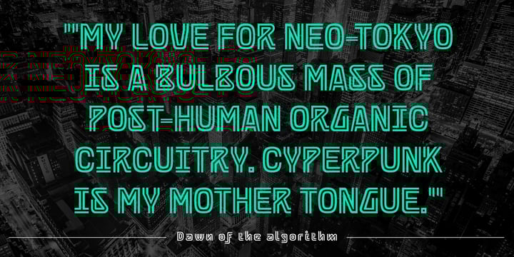 Berona Bundle Family Font Poster 15