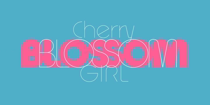 Modern Essentials Sans Font Poster 14