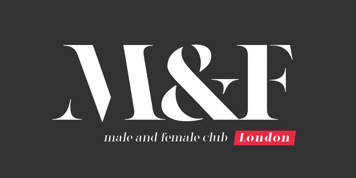 High Contrast Serif Classics Font Poster 6