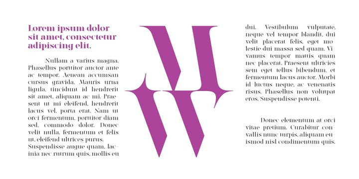 High Contrast Serif Classics Font Poster 8