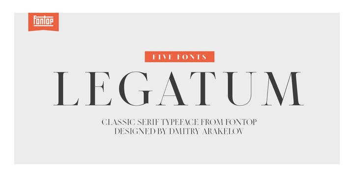 Modern Editorial Duo Font Poster 1