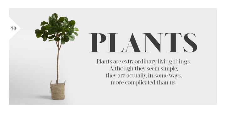 Modern Editorial Duo Font Poster 8