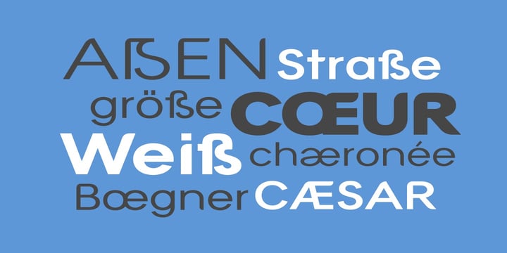 Modern Sans Collection Font Poster 13