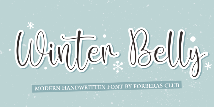 Modern Font Bundle Collection Font Poster 13