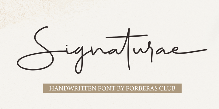 Modern Font Bundle Collection Font Poster 10