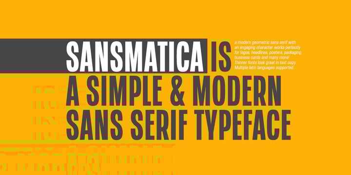 Sansmatica and Phonema font bundle Font Poster 2