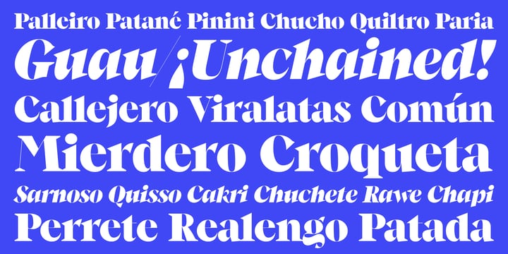 Sans Serif Bundle by Cuchi Font Poster 10