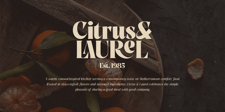 Golden Tales Serif Collection Font Poster 14