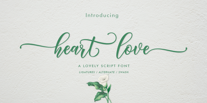 The Crafter Bundle  Modern Script Font Collection Font Poster 8