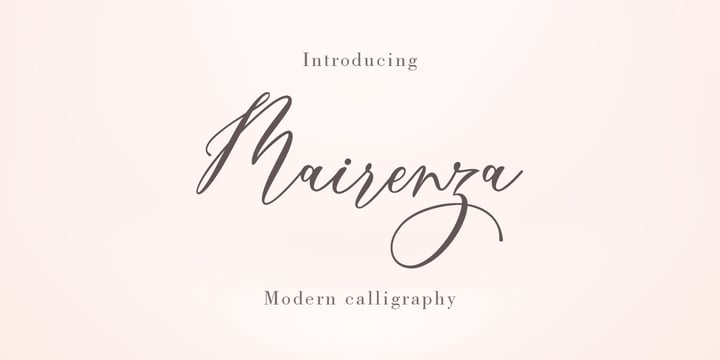 The Crafter Bundle  Modern Script Font Collection Font Poster 4