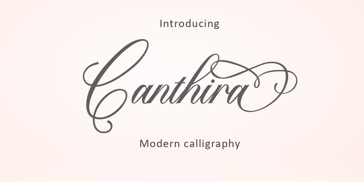 The Crafter Bundle  Modern Script Font Collection Font Poster 3