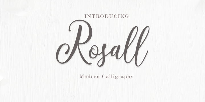 The Crafter Bundle  Modern Script Font Collection Font Poster 5