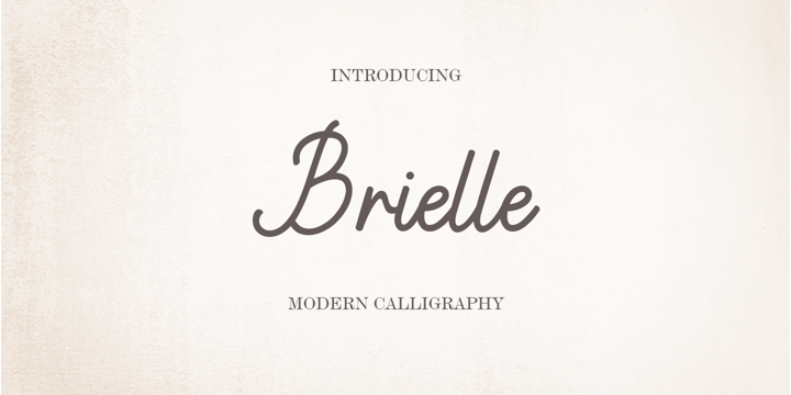The Crafter Bundle  Modern Script Font Collection Font Poster 2