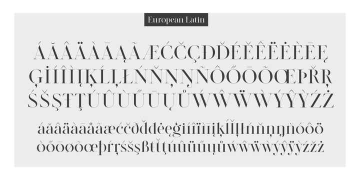 Modern Elegance Set Font Poster 5