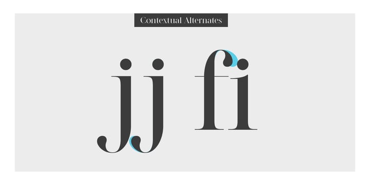 Modern Elegance Set Font Poster 7