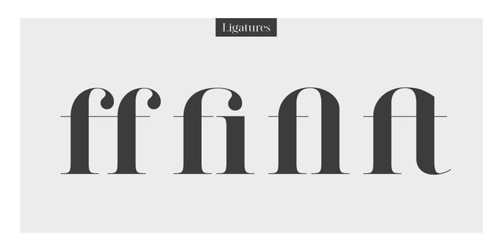 Modern Elegance Set Font Poster 6