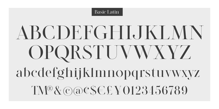 Atelier Elegance Font Poster 13