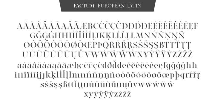 Atelier Elegance Font Poster 10
