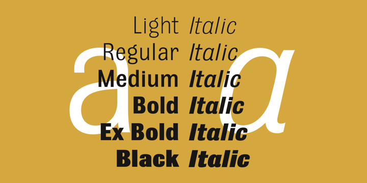 Bulldog Pro Variable Complete Font Poster 2