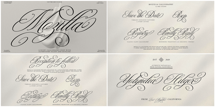 The Modern Collection Calligraphy Font Bundle Font Poster 3