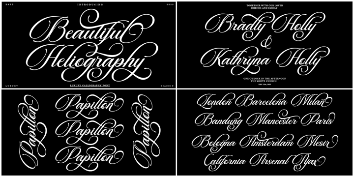 The Modern Collection Calligraphy Font Bundle Font Poster 8
