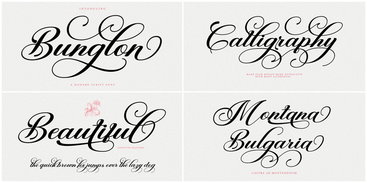 The Modern Collection Calligraphy Font Bundle Font Poster 15