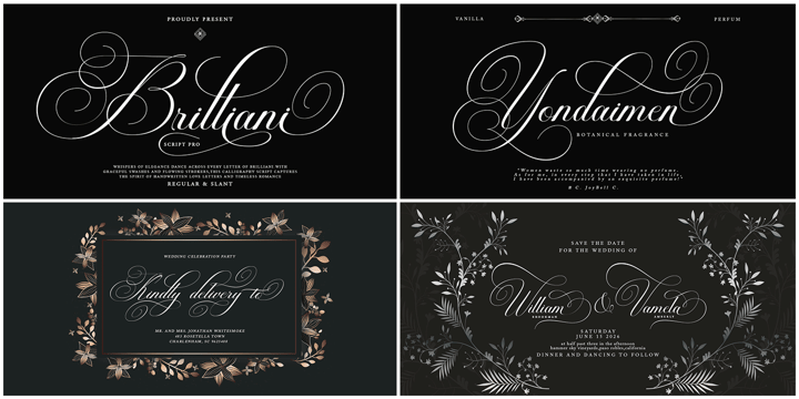 The Modern Collection Calligraphy Font Bundle Font Poster 2