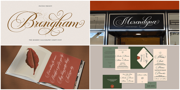 The Modern Collection Calligraphy Font Bundle Font Poster 12