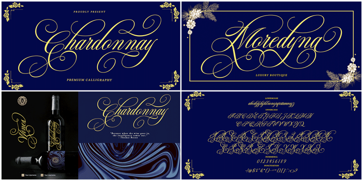 The Modern Collection Calligraphy Font Bundle Font Poster 10