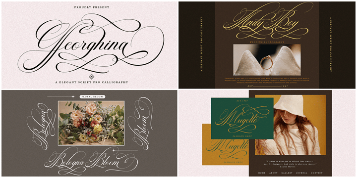 The Modern Collection Calligraphy Font Bundle Font Poster 11