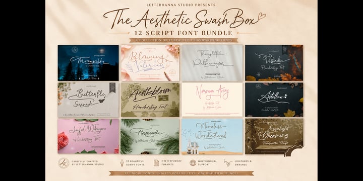 The Aesthetic Swash Box 12 Script Font Bundle