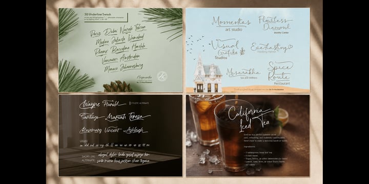 The Aesthetic Swash Box 12 Script Font Bundle Font Poster 3