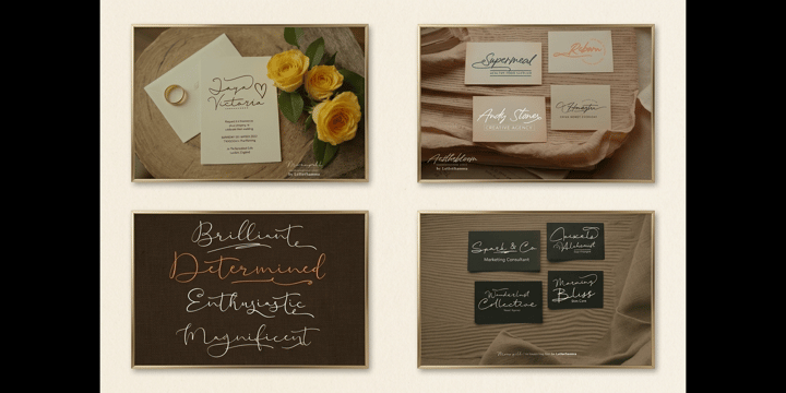 The Aesthetic Swash Box 12 Script Font Bundle Font Poster 5