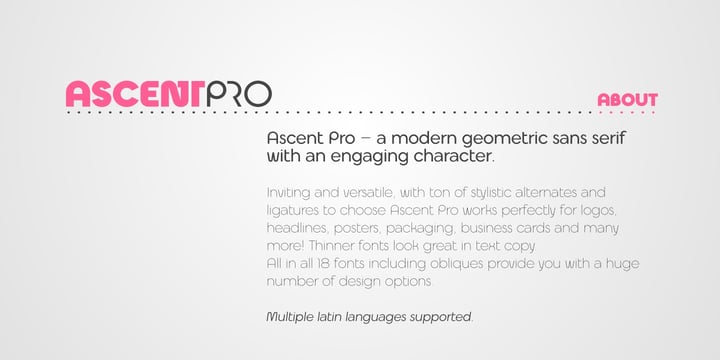 Modern Sans Duo Font Poster 12