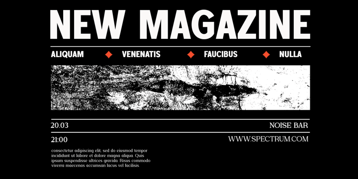 Foermality Superfamily Font Poster 9