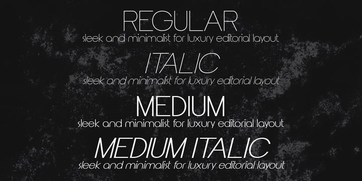 Font Duo Font Poster 5