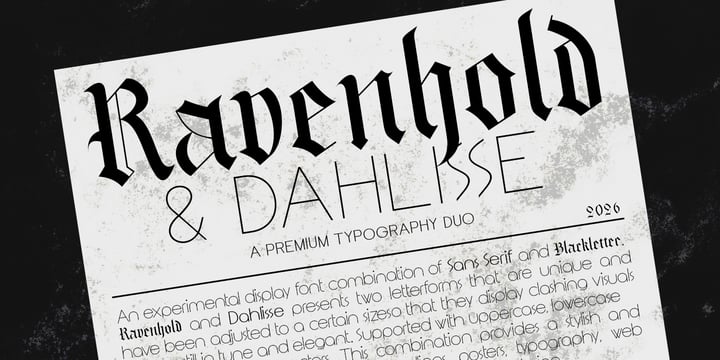 Font Duo Font Poster 6