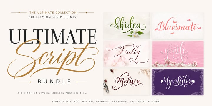 Ultimate Script Bundle Font Poster 1