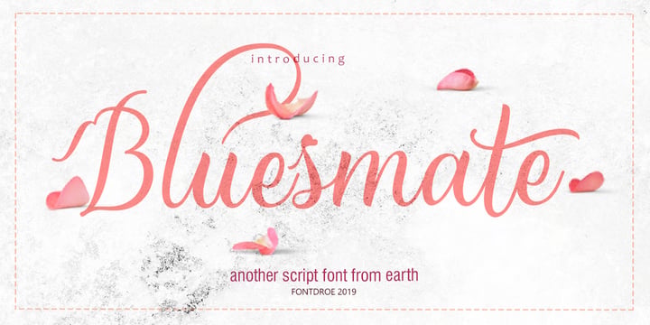 Ultimate Script Bundle Font Poster 6